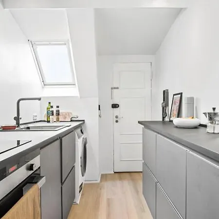 Fin lejlighed med adgang til tagterrasse Lejlighed København
