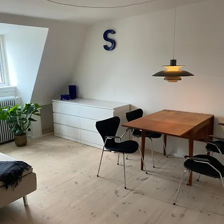 Fin Lejlighed Med Adgang Til Tagterrasse